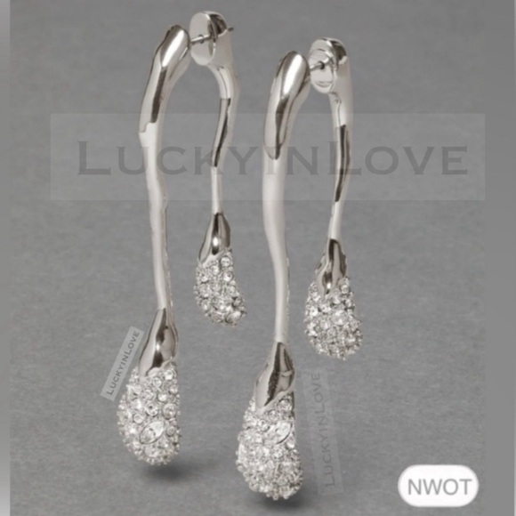 ALEXIS BITTAR • Solanales Crystal Front Back Double Drop Earrings - Silver - Picture 13 of 14